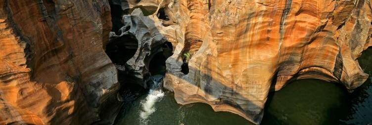 Panorama Route or Wildlife Encounter