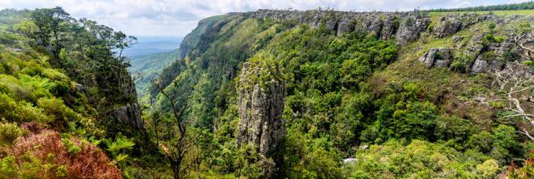 Full-Day Kruger Safari or Panorama Route Tour