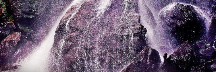 Scenic Wonders or Safari Thrills