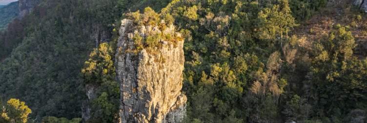 Full Day Kruger or Panorama Route