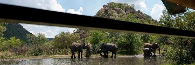 ½-Day Kwa Maritane Bush Lodge Private Transfer