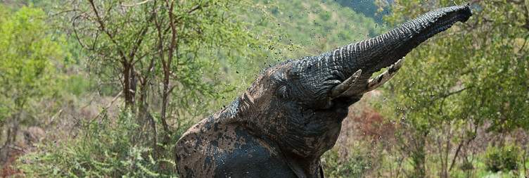 2-Day Sundown Country Estate Hotel Safari