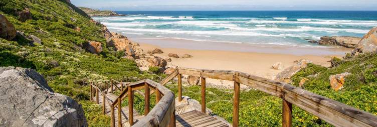 Knysna - Plettenberg Bay - Knysna