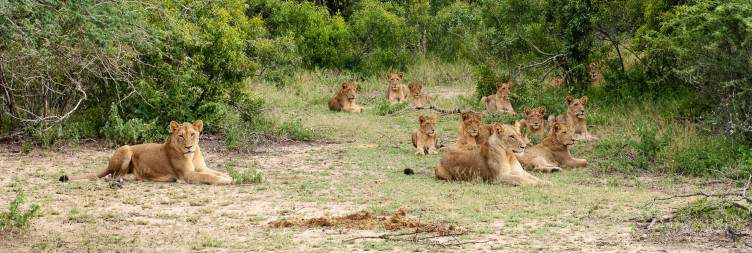 Johannesburg to Sabi Sand Private Game Reserve