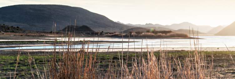 Cape Town to Sanbona Wildlife Reserve