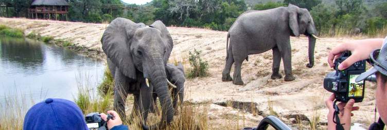 Johannesburg to the Kruger National Park
