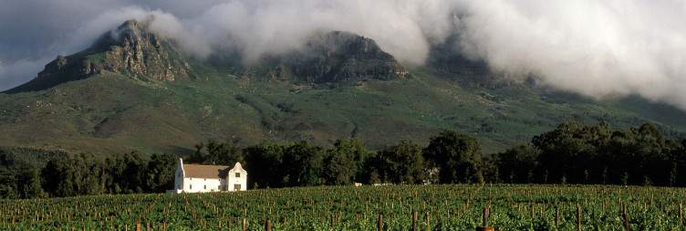Stellenbosch