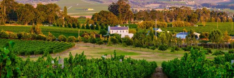 Stellenbosch