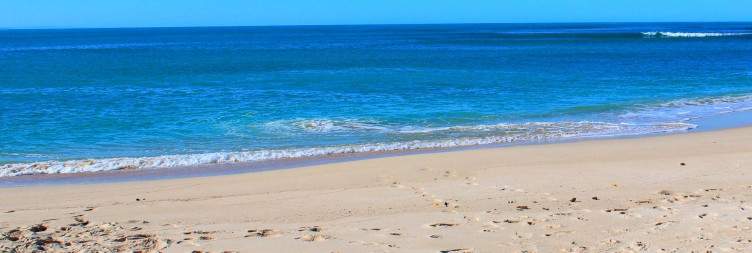 Cape Town to Cape Agulhas