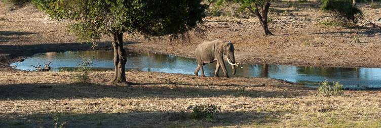 Tembe Elephant Park - Durban