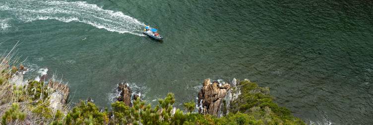 Full-day of Adventure in Tsitsikamma Section of Garden Route NP