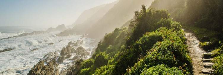 Ancient Forest Walk and River Canoe Adventure