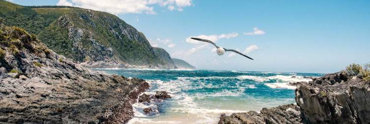 Storms River to Garden Route Game Lodge