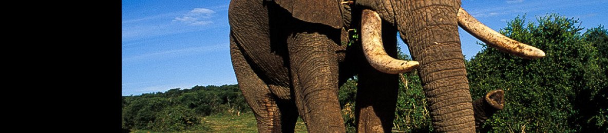 10-Day Affordable - Cape Town, Kruger & Victoria Falls