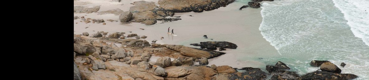 2-Day Cape Peninsula & Wine Country Tour