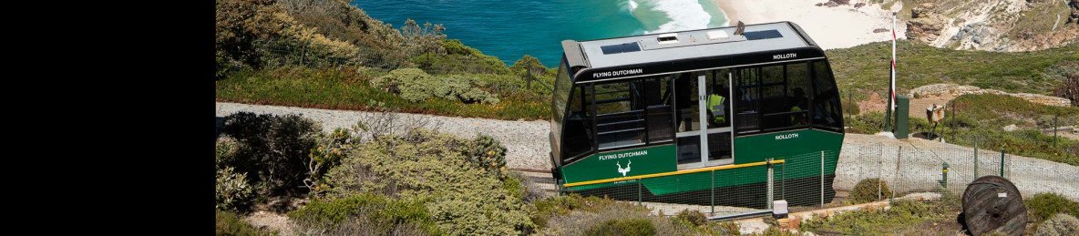 3-Day Cape Agulhas, Safari & Winelands Experience
