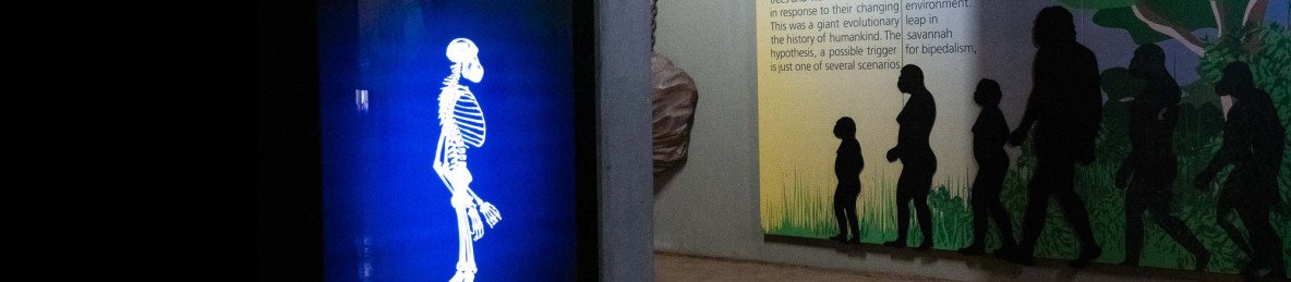 1-Day Cradle of Humankind Tour