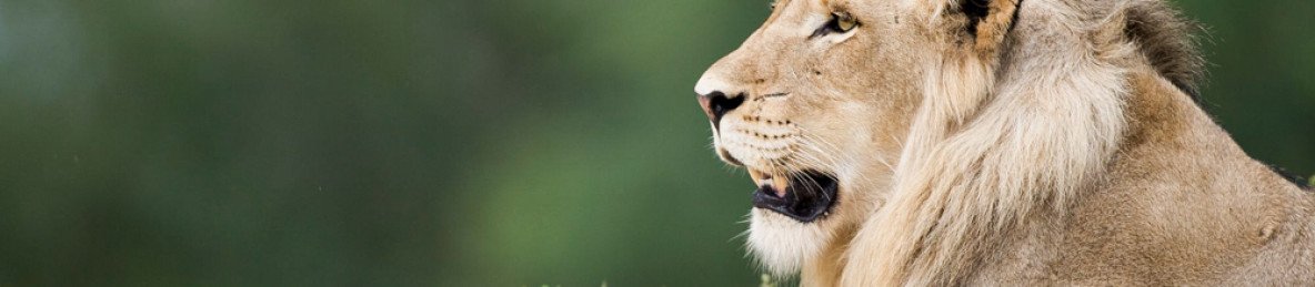 3-Day Dumela Glamping Affordable Adventure