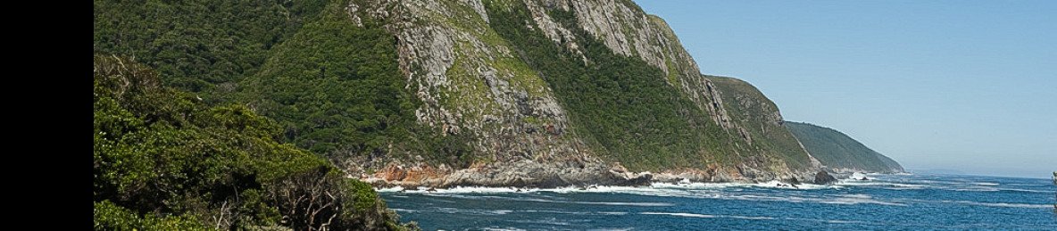 6-Day Garden Route, Addo, and Cape Town Expedition