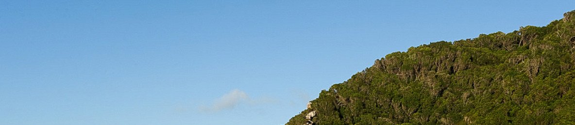 5-Day South Africa Garden Route & Addo Escape
