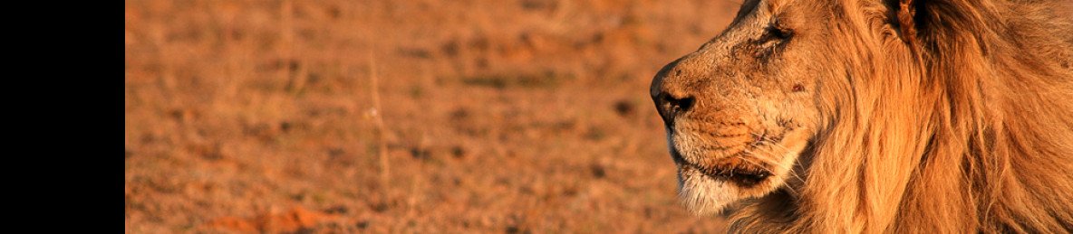 5-Day Hwange and Lake Kariba Discovery