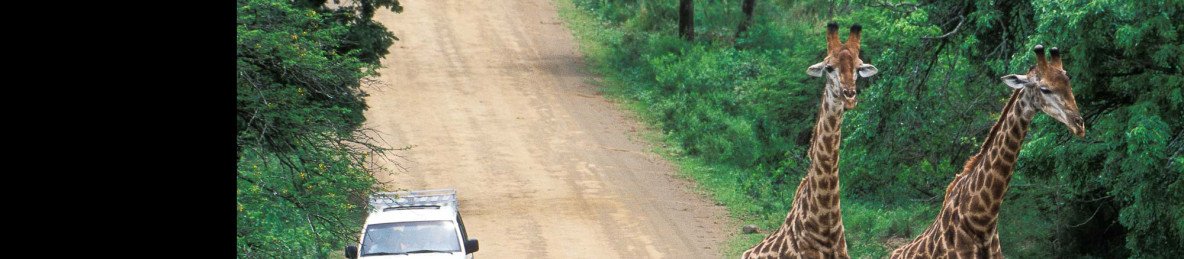 11-Day South Africa Self-Drive Adventure