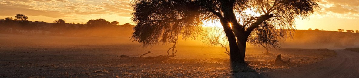 14-Day Ultimate Namibian Safari (Lodging)