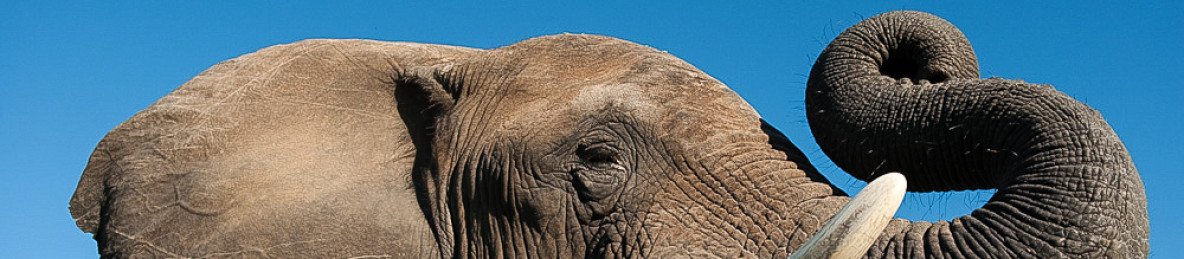 3-Day Eco Lodge Kruger Safari