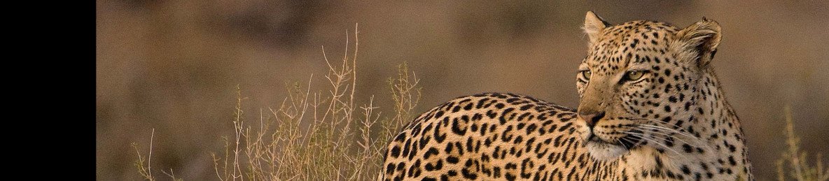 7-Day The Best of Botswana