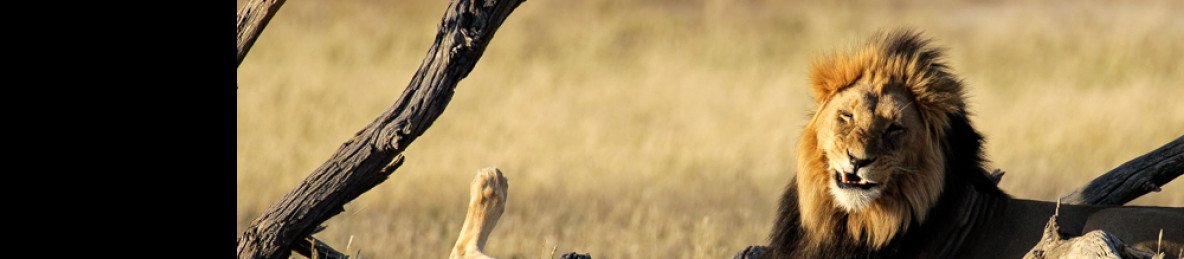8-Day Kalahari Guided Self-Drive Budget Camping Tour