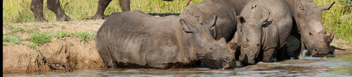 4-Day Dumela Budget Camping Tour Fly-in Cape Town