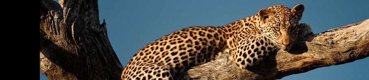 5-Day Private Southern Kruger Camping Adventure