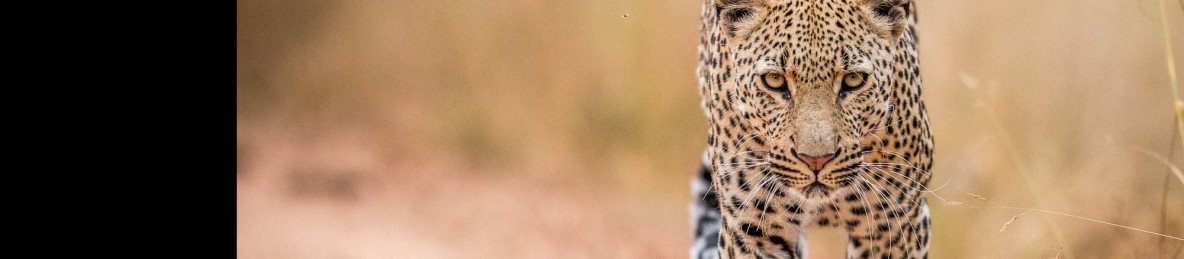 3-Day Kruger NP Budget Tour