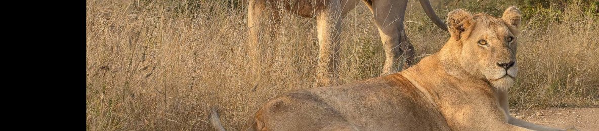 7-Day Safari in Two Private Reserves