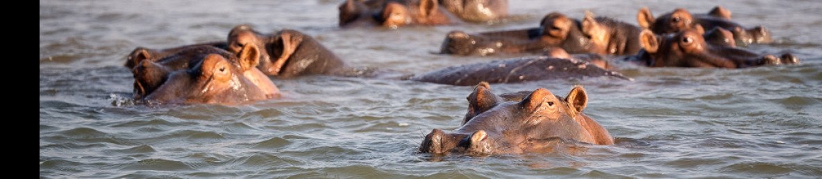 5-Day Kruger Adventure Safari