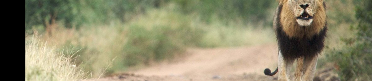 4-Day Eastern Cape Safari with Kariega Main Lodge