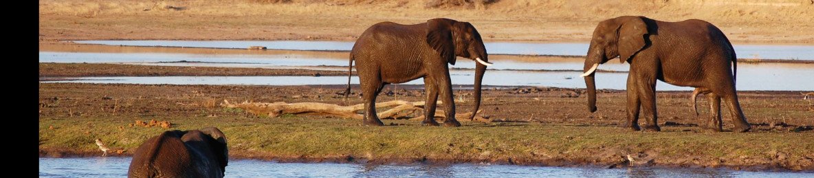 5-Day Big Five Camping Safari with Panorama Highlights