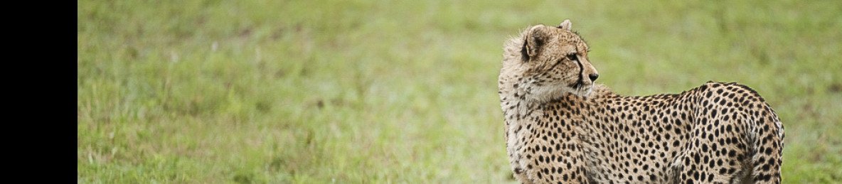 2-Day Budget Kruger NP Safari from Johannesburg