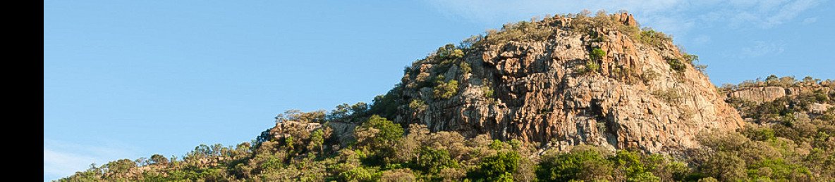 2-Day Pilanesberg Safari from Johannesburg