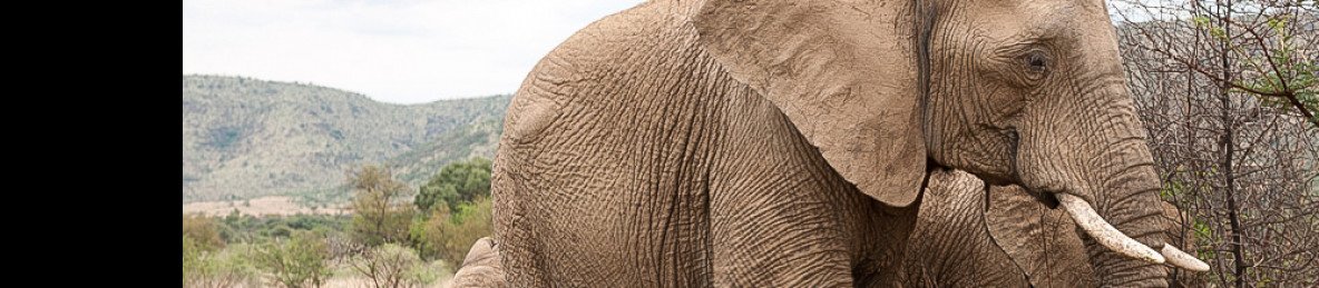 2-Day Mid-Range Classic Safari – Kwa Maritane
