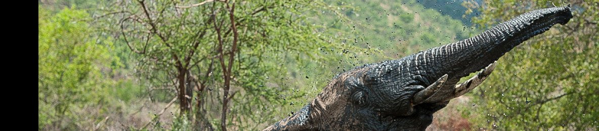 3-Day Pilanesberg Safari Adventure