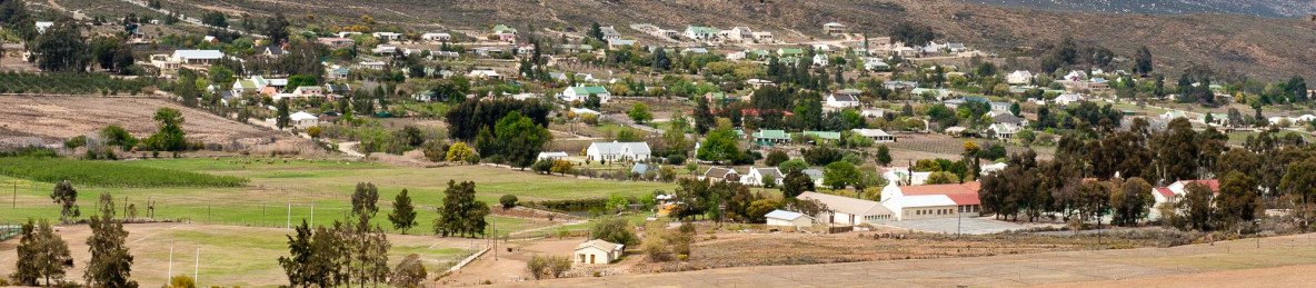 2-Day Scenic Garden Route Safari – Cape Town Adventure