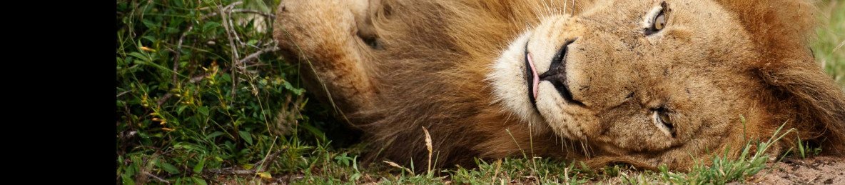 3-Day Madikwe Big Five Safari –African Adventure