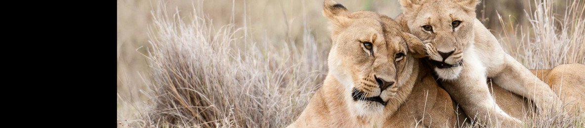 11-Day Affordable Sightseeing in South Africa