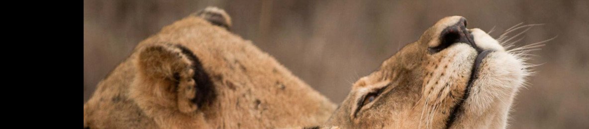 9-Day Kruger & Mozambique (Luxury)