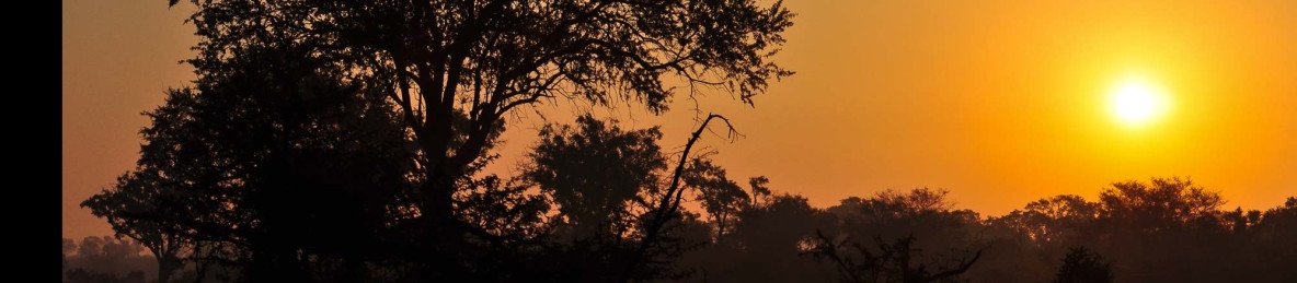 5-Day Safari with Night Drive and Panorama Route Tour