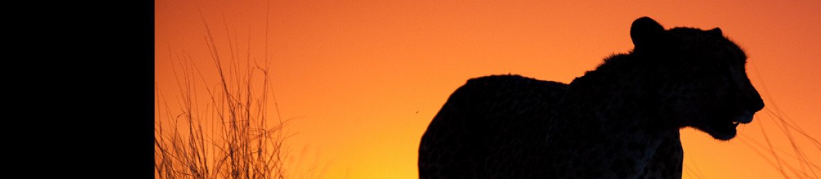 5-Day Kruger National Park and Olifants River Safari