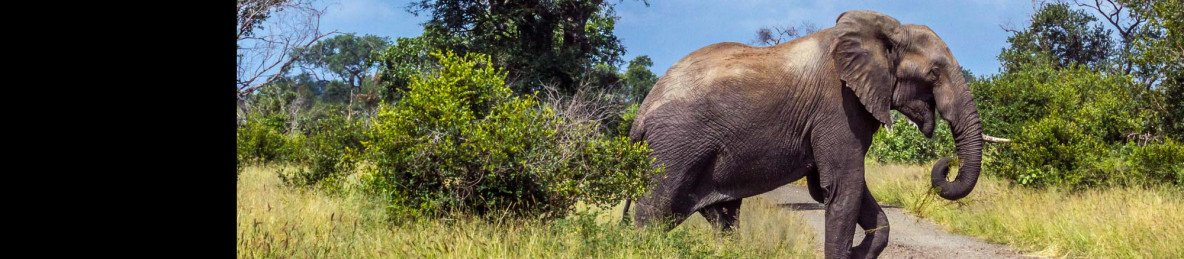 7-Day Affordable Kruger & Victoria Falls Adventure