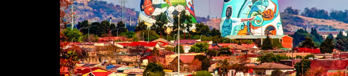 1-Day Soweto & Apartheid Museum Experience with Lunch