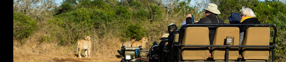 3-Day Kruger Safari from Johannesburg